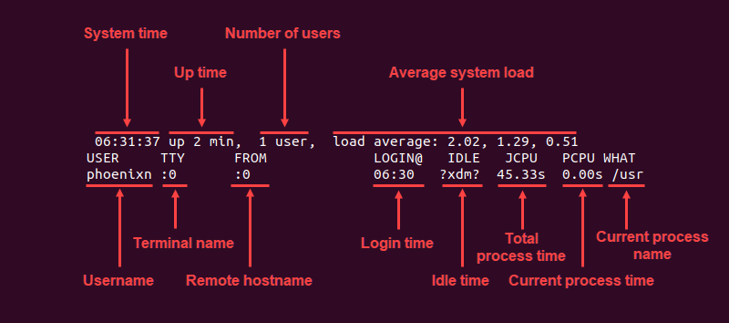 Elements of the w command output