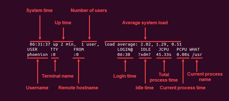 Elements of the w command output